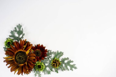 Çiçek kompozisyon görüntü