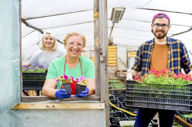 İnsanlar serada çalışıyor.