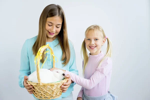 Girls with easter bunny — Stock Photo, Image