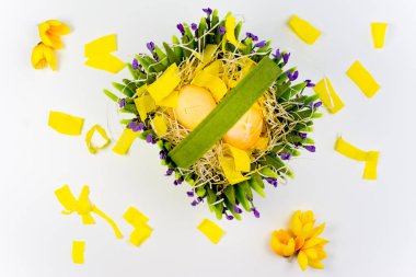 Paskalya şeyler kümesi