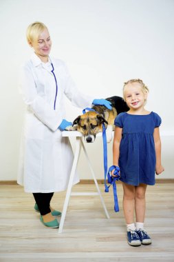 Köpeğe bir veteriner