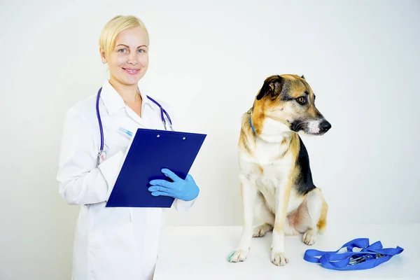 Perro en un veterinario — Foto de Stock