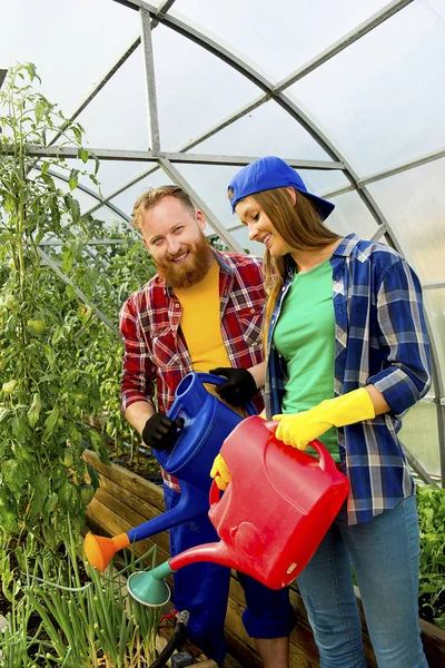 Pasangan bahagia berkebun — Stok Foto