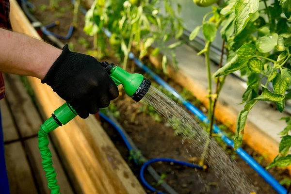 Pasangan bahagia berkebun — Stok Foto