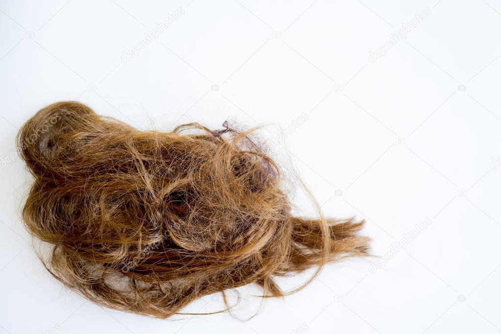 Image of damaged hair