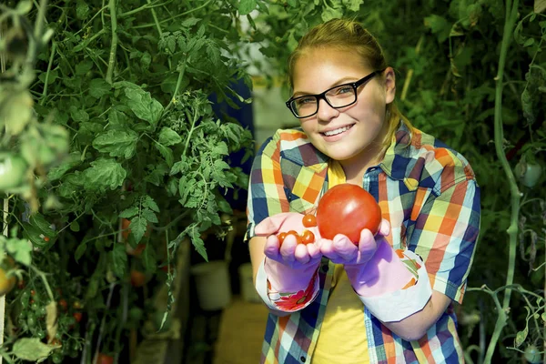 Bir serada çalışan kız