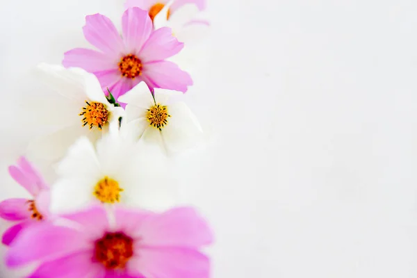Ramo de flores — Foto de Stock