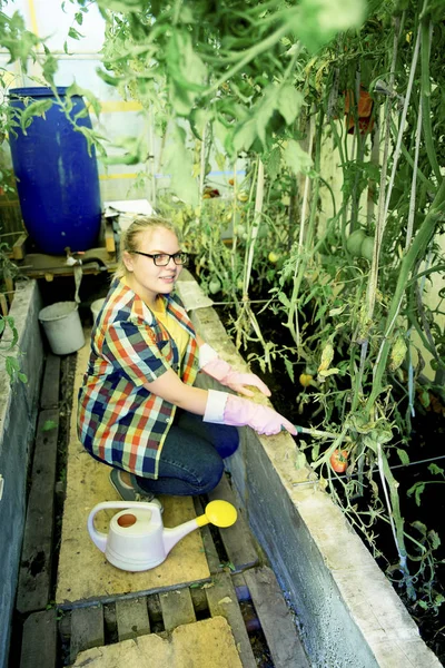 Bir serada çalışan kız