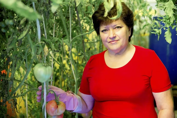 Serada çalışan bir kadın.