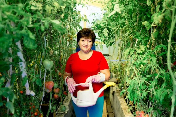 Serada çalışan bir kadın.