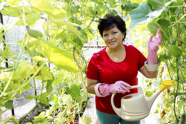 Serada çalışan bir kadın.