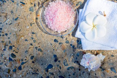 Deniz ve kum üzerinde deniz yıldızı