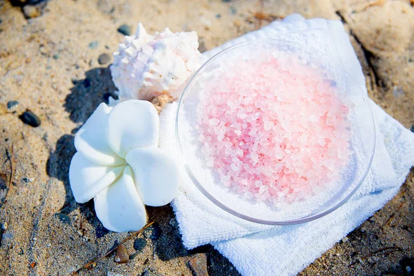 Muscheln und Seesterne auf Sand — Stockfoto