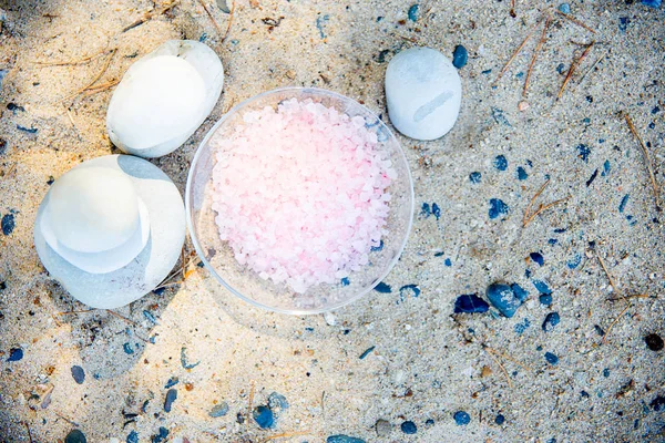 Muscheln und Seesterne auf Sand — Stockfoto