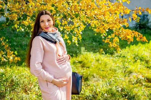 Mujer embarazada caminando en un parque — Foto de Stock