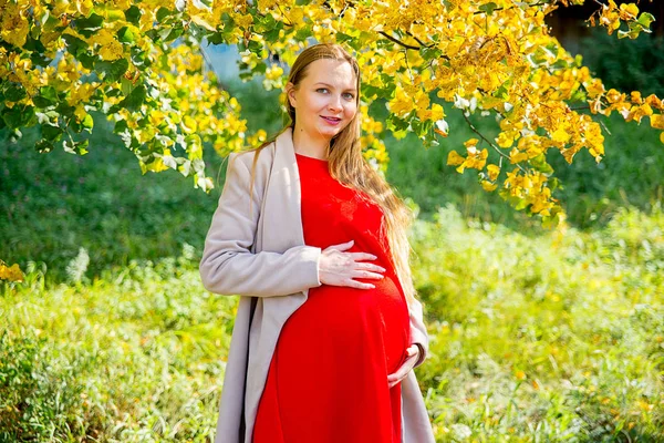 Kobieta w ciąży spaceru w parku — Zdjęcie stockowe