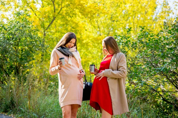 Pregnant woman walking in a park — Stock Photo, Image