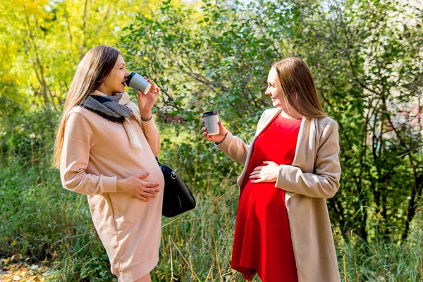 Mujer embarazada caminando en un parque — Foto de Stock