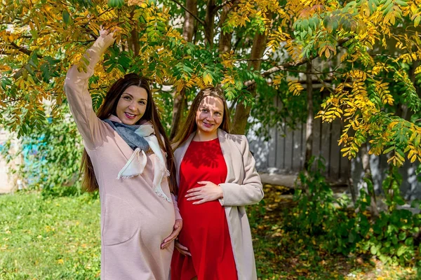 Mulher grávida andando em um parque — Fotografia de Stock