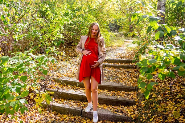 Pregnant woman walking in a park — Stock Photo, Image