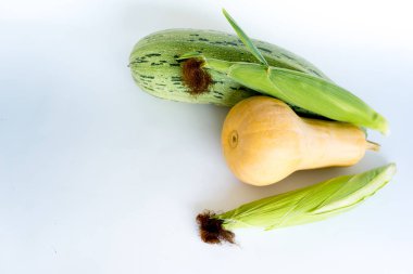 Taze sebze çeşitleri