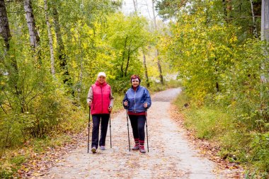 Büyükler düzeyinde ladies Nordik yürüyüş