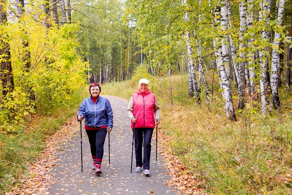Büyükler düzeyinde ladies Nordik yürüyüş