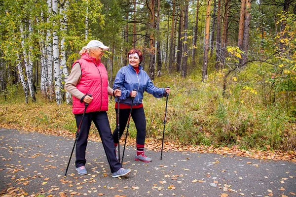 Büyükler düzeyinde ladies Nordik yürüyüş