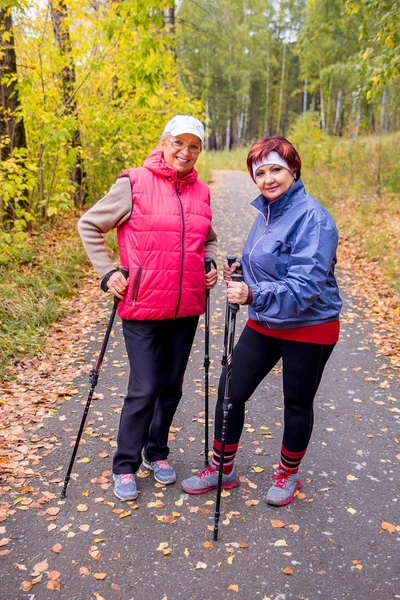 Seniorinnen Nordic Walking — Stockfoto