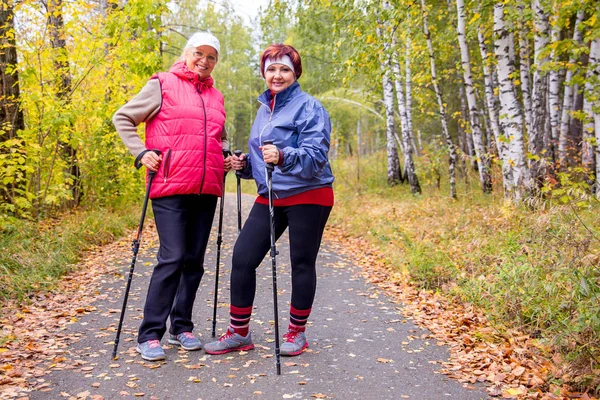 Seniorinnen Nordic Walking — Stockfoto