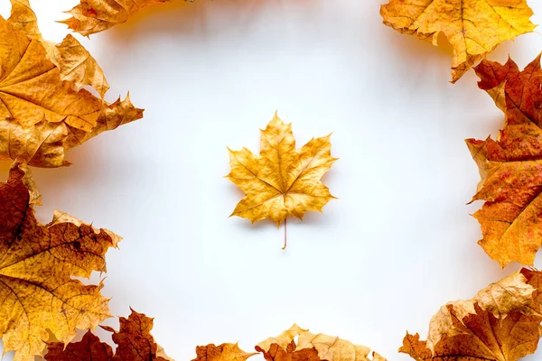 Achtergrond met gele herfst bladeren — Stockfoto