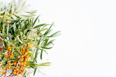 Taze sebze çeşitleri