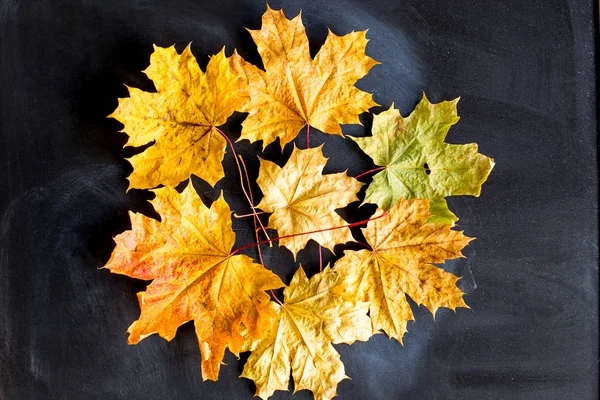 Achtergrond met gele herfst bladeren — Stockfoto