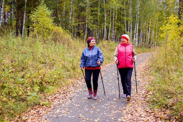 Senior dames nordic-walking — Stockfoto