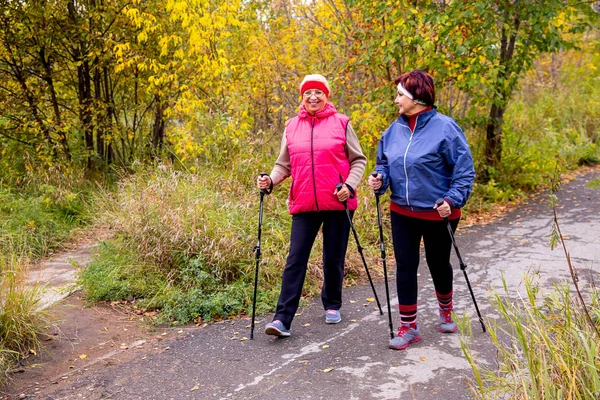 Seniorinnen Nordic Walking — Stockfoto