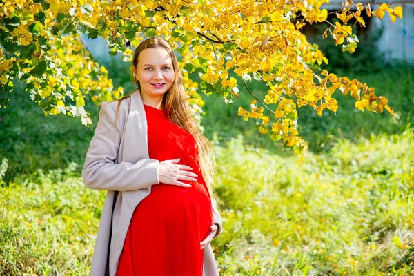 Kobieta w ciąży spaceru w parku — Zdjęcie stockowe