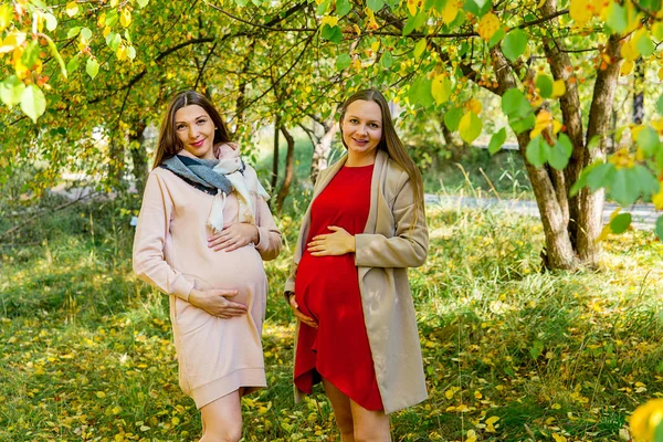 Kobiety w ciąży spaceru w parku — Zdjęcie stockowe