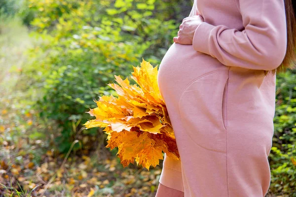 Gravid kvinna i en park — Stockfoto