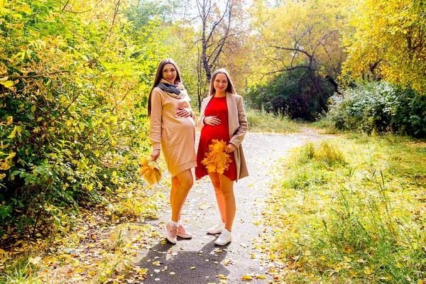 Mujer embarazada caminando en un parque — Foto de Stock