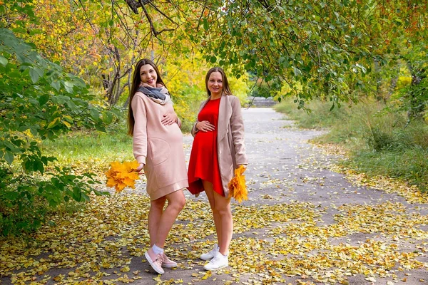 Mulher grávida andando em um parque — Fotografia de Stock