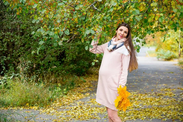 Mujer embarazada caminando en un parque — Foto de Stock