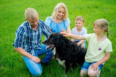 Aile pikniği ile bir köpek