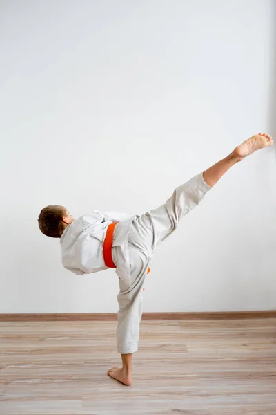 Karate boy entrenamiento —  Fotos de Stock