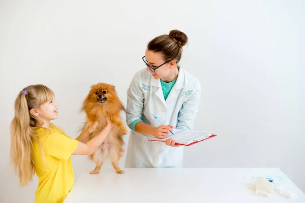 獣医と犬 — ストック写真