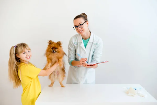 Cane con un veterinario — Foto Stock