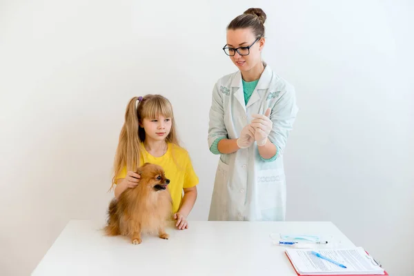 Cão com veterinário — Fotografia de Stock