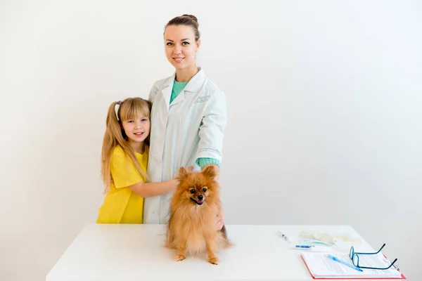 Cão com veterinário — Fotografia de Stock