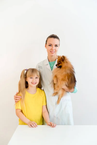Dog with a vet — Stock Photo, Image