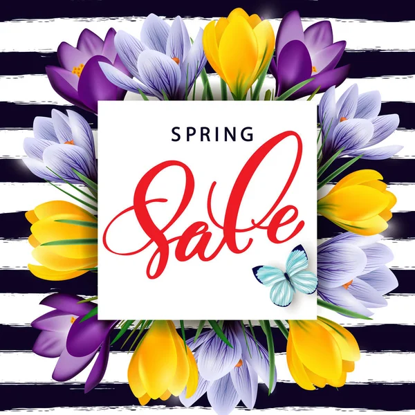 Spring sale concept. Spring background with flowering crocuses.Template vector. — Stock Vector