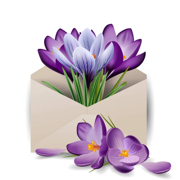Kleurrijke Lentebloemen, Krokussen in de envelop. Concept voorjaar achtergrond. De sjabloon-vector. Het concept van bloemen bezorgen. — Stockvector